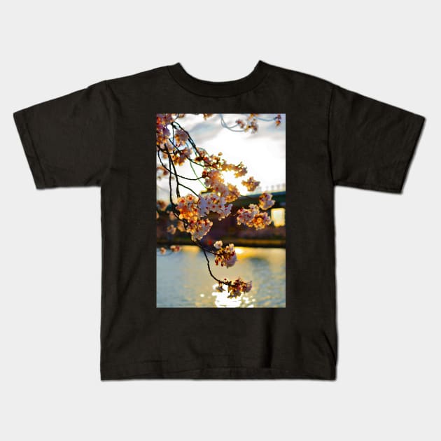 Japan - 'Sakura Sunset' Kids T-Shirt by LittleJapan